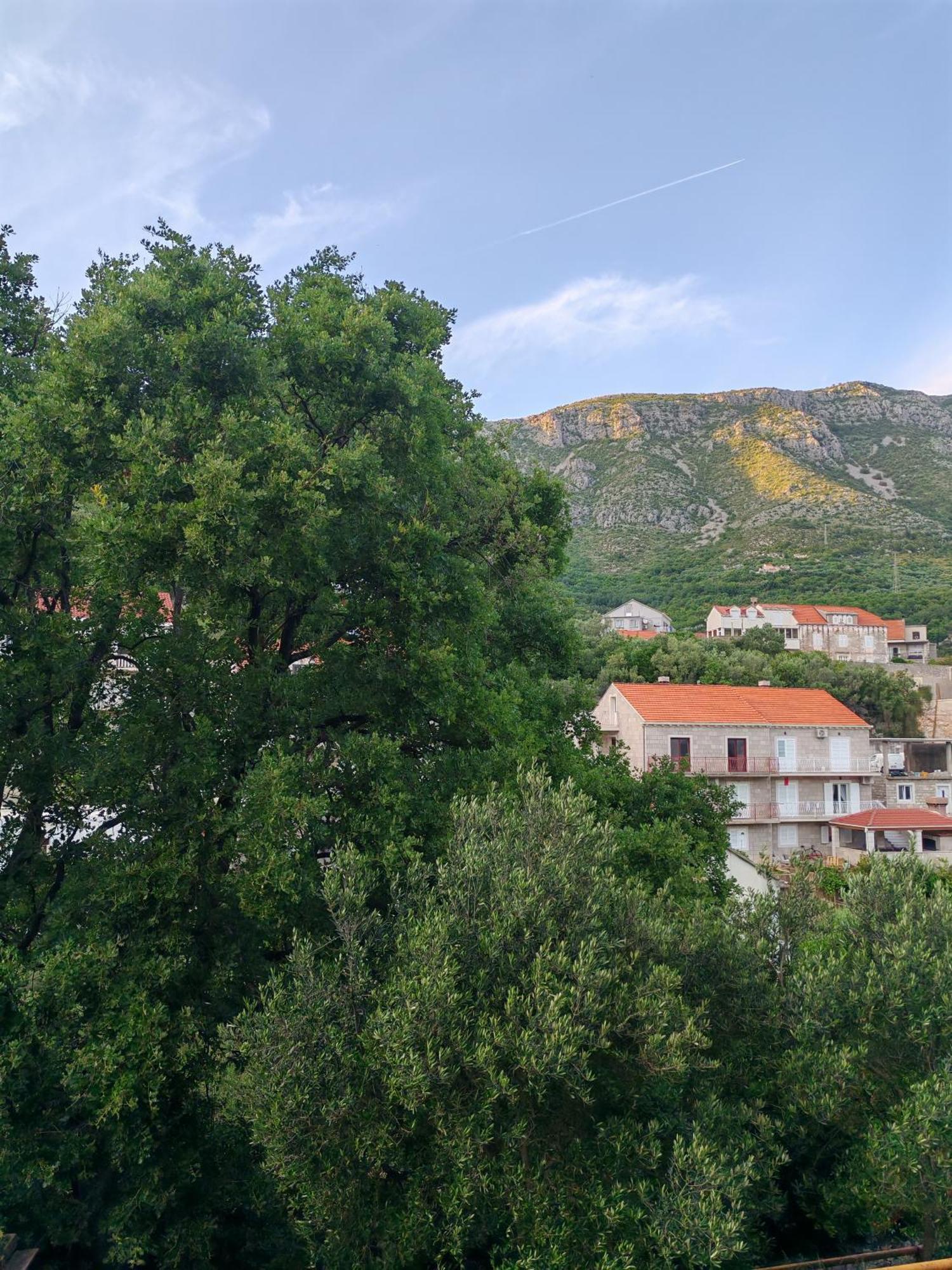 Apartment Oscar Mokošica Oda fotoğraf